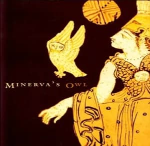 “Minerva’nın Baykuşu Alacakaranlık Çökünce Uçmaya Başlar” Deniz ÇEVİK, Vergi Müfettiş Yardımcısı